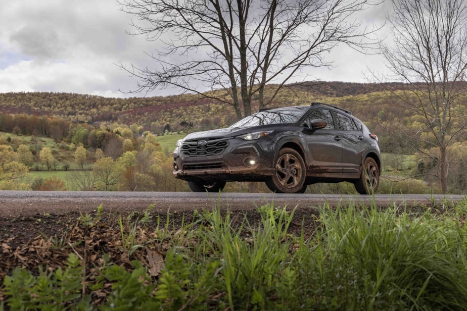 We don't choose the Crosstrek for its dynamic performance, but rather for safety - in all circumstances and on all terrains.